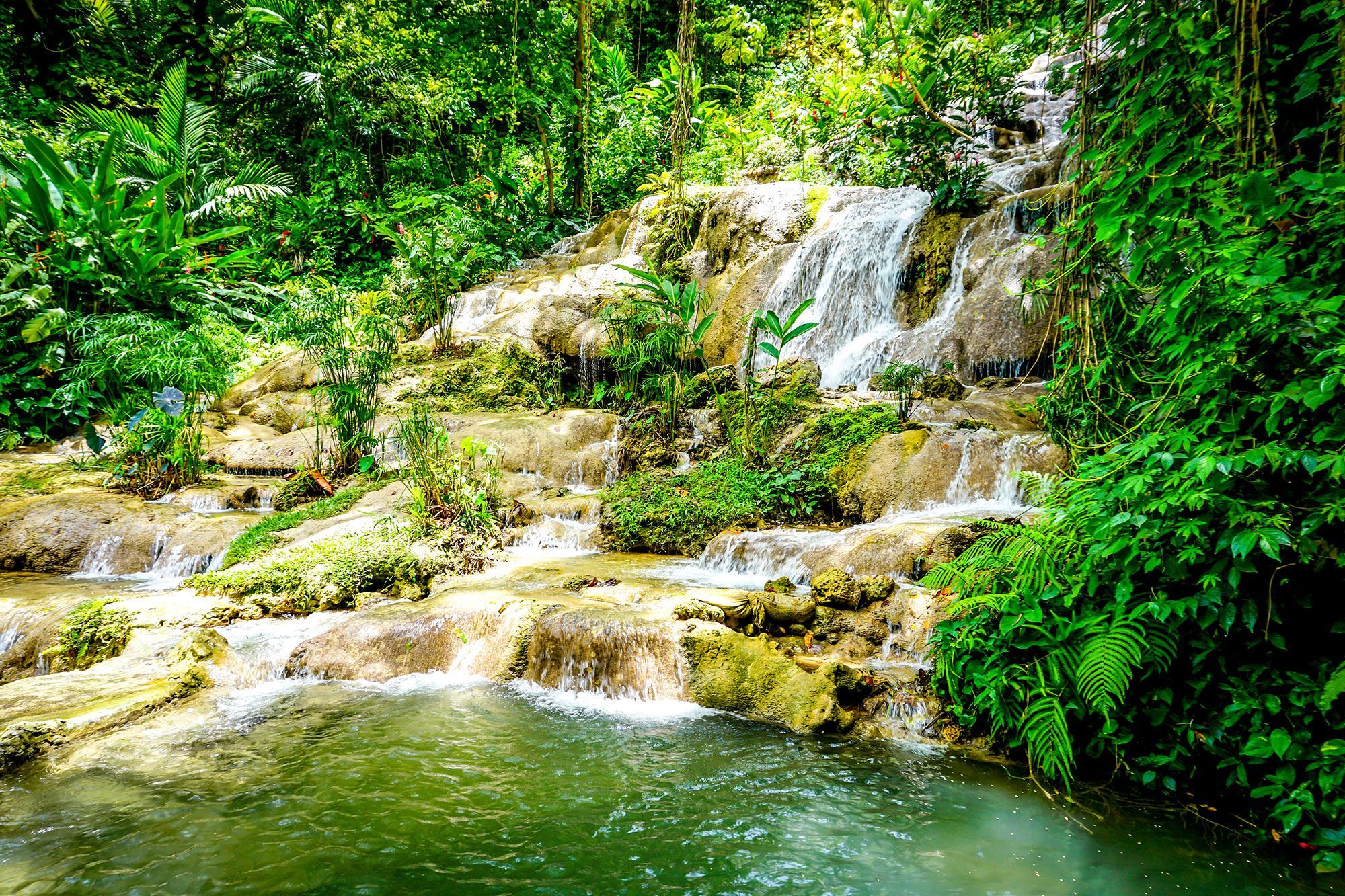 Explore The Best Waterfalls In Jamaica For An Unmatched Family Vacation!