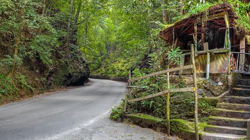 Hike, Walk, Drive & Explore Fern Gully While In Jamaica