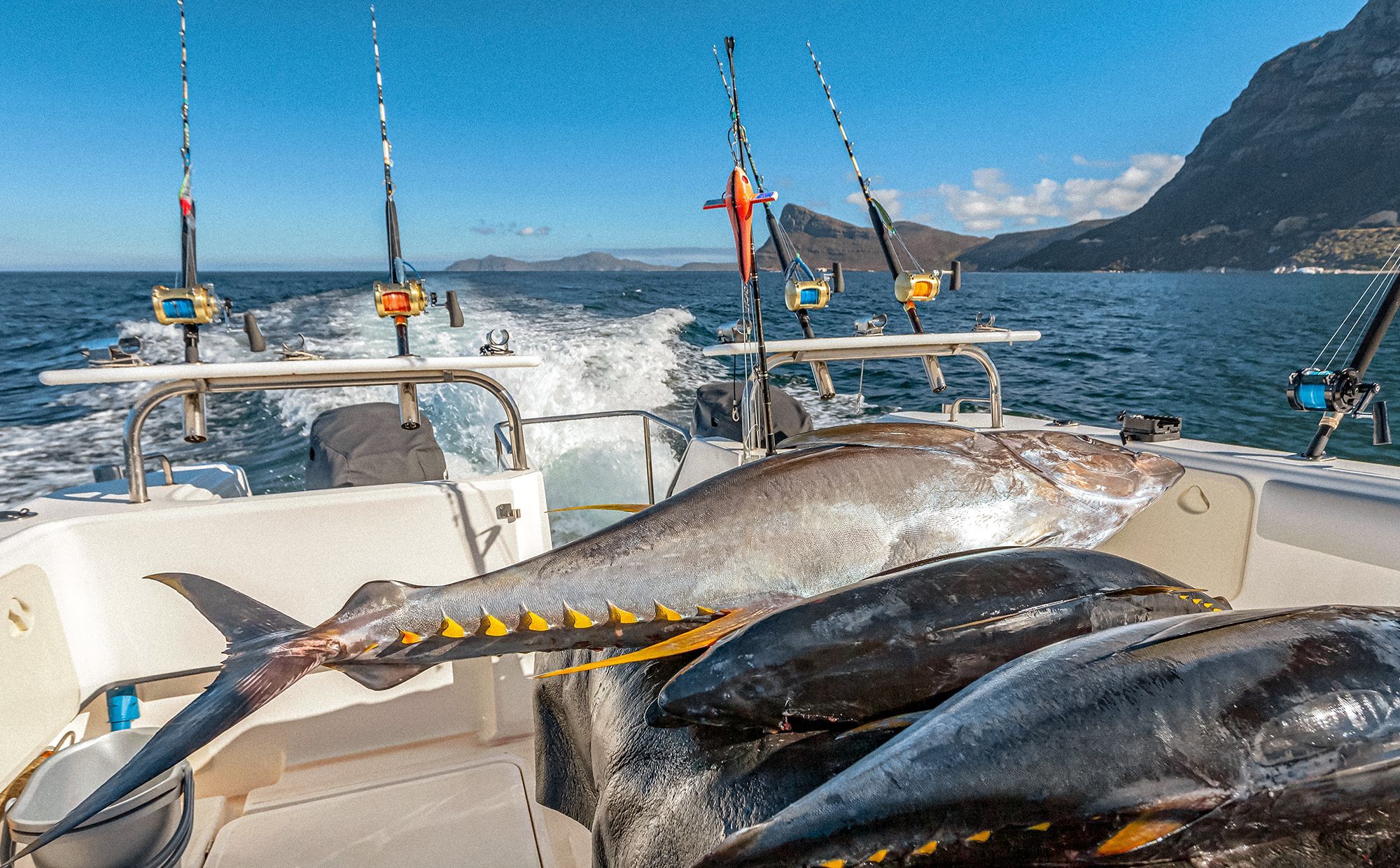 Why You'll Love Fishing in Turks and Caicos (Even If You're A Beginner!)