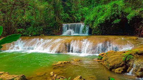 Westmoreland's Mayfield Falls - A True Jamaican Nature Experience Awaits