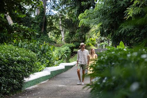 Discover The Tropical Magic of Montreal Gardens In Saint Vincent