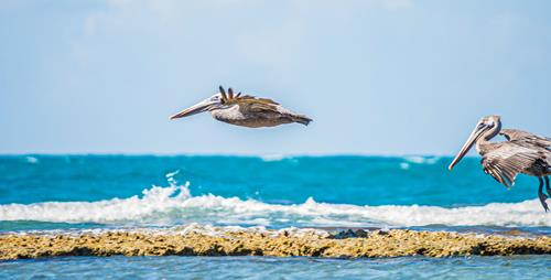 Hereâ€™s Why Youâ€™ll Love A Visit To Treasure Beach, Jamaica