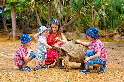 10 Fun Vacation Ideas For Families With Toddlers