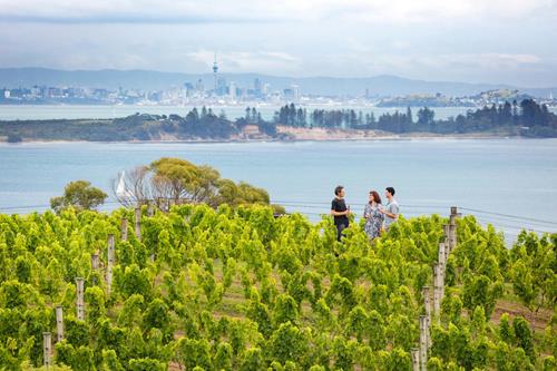 Exploring Auckland’s Islands by Ferry: Our Favorite Adventures