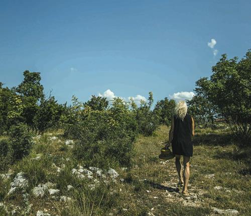On the Culinary Trail: S.A.L.T. Lab Radio Debuts With “Legends of the Border – Friuli, Slovenia and Trieste”