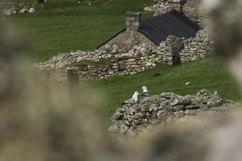 What to Do in the Outer Hebrides: A Behind-the-Scenes Look at St Kilda