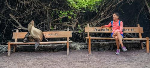 Why Your Next Cruise Should Be to the Galápagos Islands