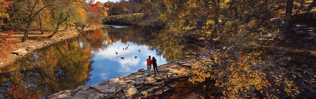 Best Travel agency for cruises in Arkansas. Use the cruise travel agent experts at Vincent Vacations travel agency. They have cruise agents in Arkansas ready to help. In travel since 2002, Vincent Vacations has the best cruise travel agents certified and awarded in ocean cruises, river cruises, expedition cruises, yacht style, sailing vacations and more.