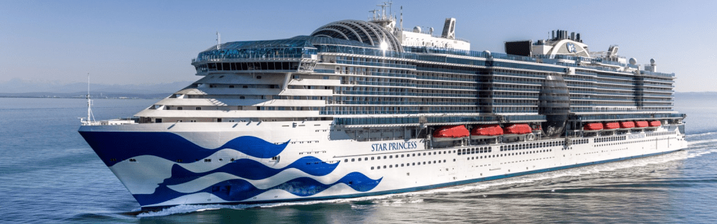 Best Travel agency for cruises in Florida. Use the cruise travel agent experts at Vincent Vacations travel agency. They have cruise agents in Florida ready to help. In travel since 2002, Vincent Vacations has the best cruise travel agents certified and awarded in ocean cruises, river cruises, expedition cruises, yacht style, sailing vacations and more.