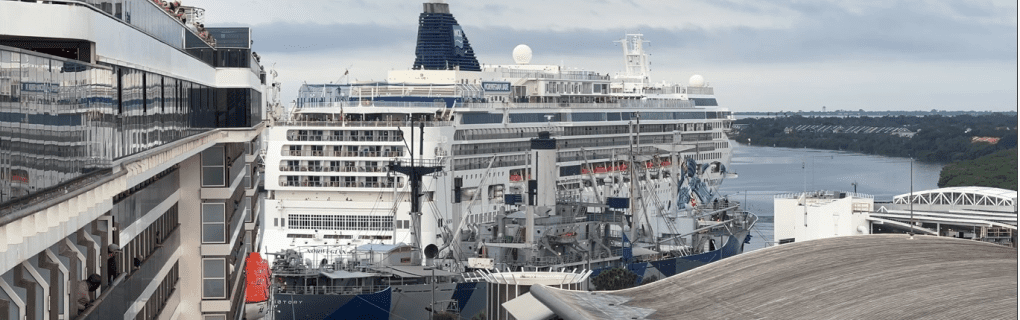 Best Travel agency for cruises in Florida. Use the cruise travel agent experts at Vincent Vacations travel agency. They have cruise agents in Florida ready to help. In travel since 2002, Vincent Vacations has the best cruise travel agents certified and awarded in ocean cruises, river cruises, expedition cruises, yacht style, sailing vacations and more.