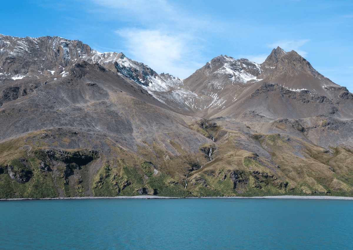 become a travel agent in georgia