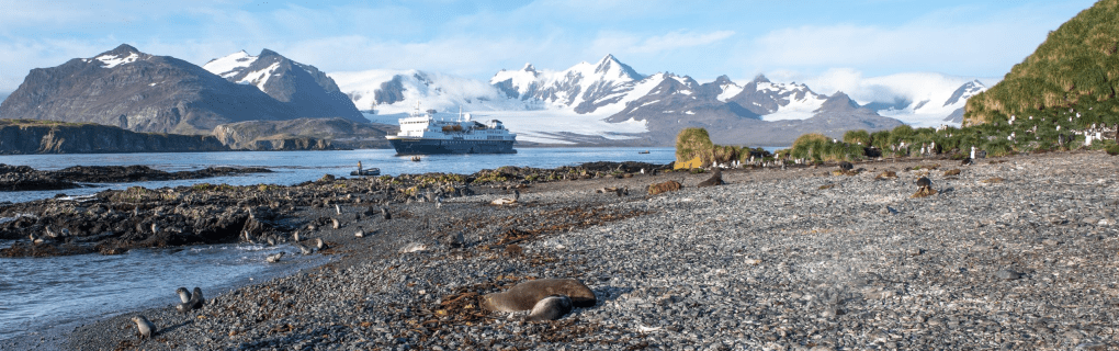 Best Travel agency for cruises in Georgia. Use the cruise travel agent experts at Vincent Vacations travel agency. They have cruise agents in Georgia ready to help. In travel since 2002, Vincent Vacations has the best cruise travel agents certified and awarded in ocean cruises, river cruises, expedition cruises, yacht style, sailing vacations and more.