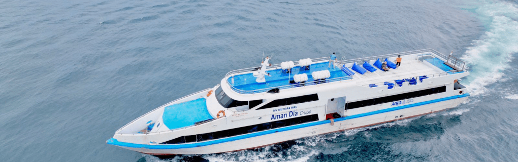 Best Travel agency for cruises in Iowa. Use the cruise travel agent experts at Vincent Vacations travel agency. They have cruise agents in Iowa ready to help. In travel since 2002, Vincent Vacations has the best cruise travel agents certified and awarded in ocean cruises, river cruises, expedition cruises, yacht style, sailing vacations and more.