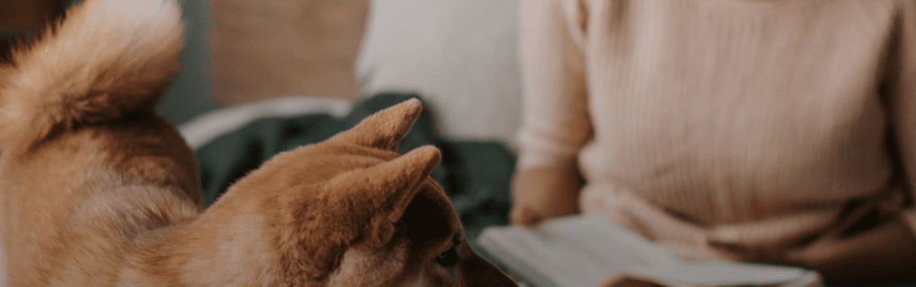 Best Travel agency for cruises in Iowa. Use the cruise travel agent experts at Vincent Vacations travel agency. They have cruise agents in Iowa ready to help. In travel since 2002, Vincent Vacations has the best cruise travel agents certified and awarded in ocean cruises, river cruises, expedition cruises, yacht style, sailing vacations and more.