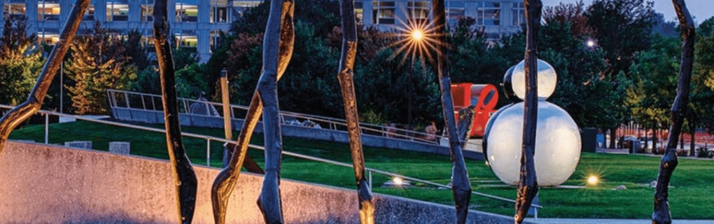 Best Travel agency for cruises in Iowa. Use the cruise travel agent experts at Vincent Vacations travel agency. They have cruise agents in Iowa ready to help. In travel since 2002, Vincent Vacations has the best cruise travel agents certified and awarded in ocean cruises, river cruises, expedition cruises, yacht style, sailing vacations and more.