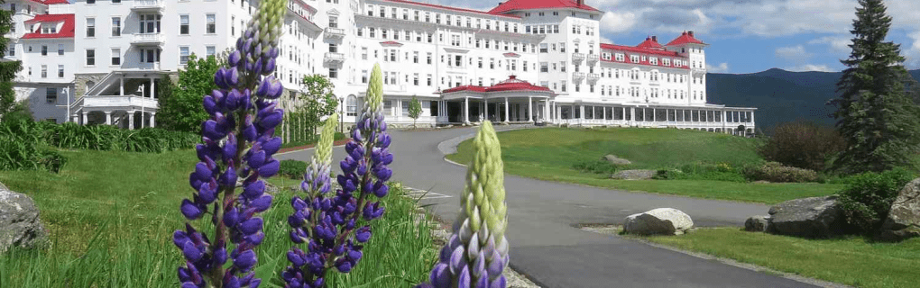 Best Travel agency for cruises in New Hampshire. Use the cruise travel agent experts at Vincent Vacations travel agency. They have cruise agents in New Hampshire ready to help. In travel since 2002, Vincent Vacations has the best cruise travel agents certified and awarded in ocean cruises, river cruises, expedition cruises, yacht style, sailing vacations and more.