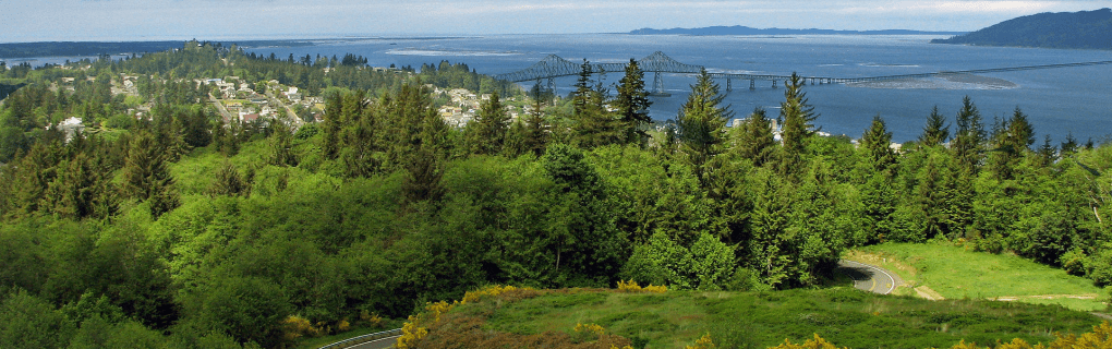 Best Travel agency for cruises in Oregon. Use the cruise travel agent experts at Vincent Vacations travel agency. They have cruise agents in Oregon ready to help. In travel since 2002, Vincent Vacations has the best cruise travel agents certified and awarded in ocean cruises, river cruises, expedition cruises, yacht style, sailing vacations and more.