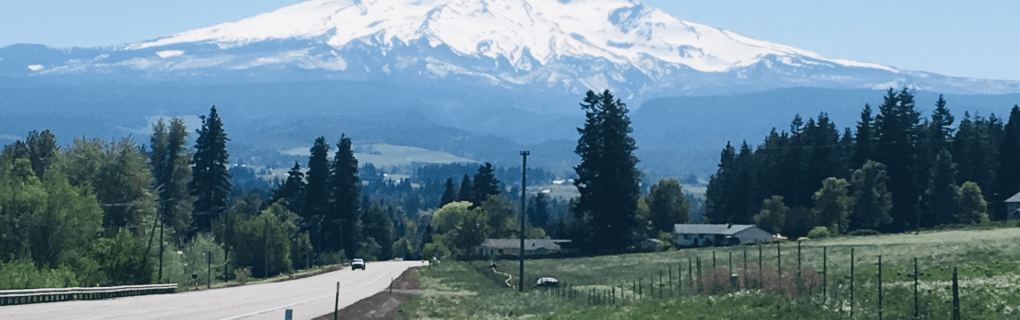 Best Travel agency for cruises in Oregon. Use the cruise travel agent experts at Vincent Vacations travel agency. They have cruise agents in Oregon ready to help. In travel since 2002, Vincent Vacations has the best cruise travel agents certified and awarded in ocean cruises, river cruises, expedition cruises, yacht style, sailing vacations and more.