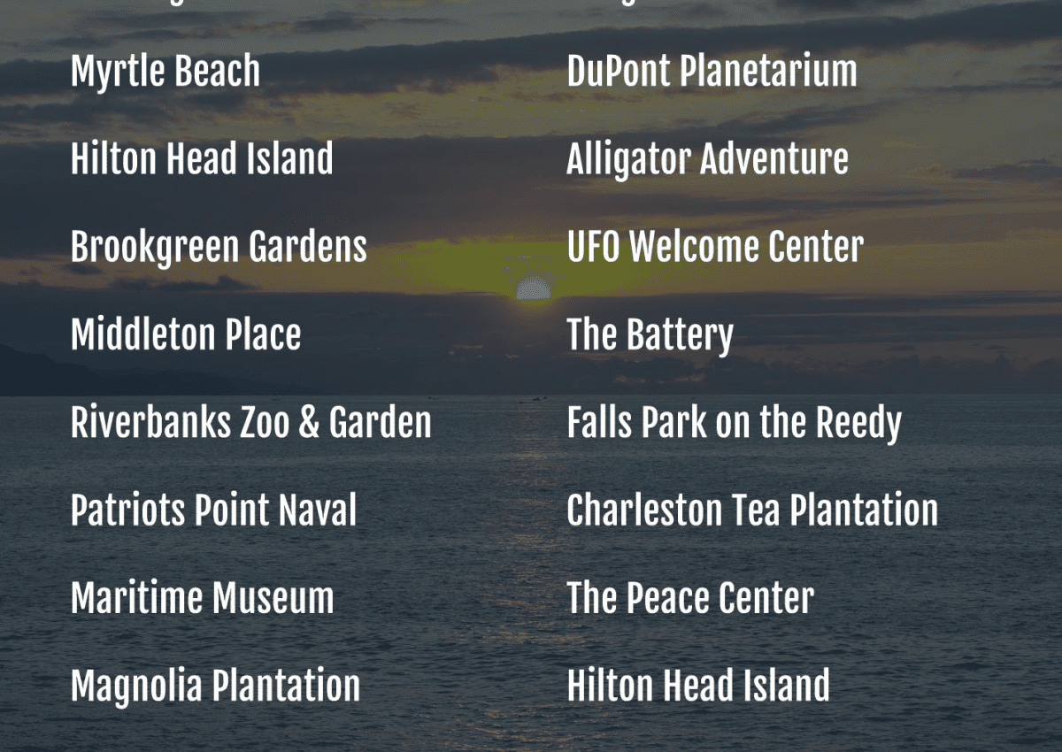 become a travel agent in south carolina