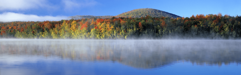 Best Travel agency for cruises in Vermont. Use the cruise travel agent experts at Vincent Vacations travel agency. They have cruise agents in Vermont ready to help. In travel since 2002, Vincent Vacations has the best cruise travel agents certified and awarded in ocean cruises, river cruises, expedition cruises, yacht style, sailing vacations and more.