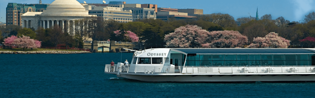 Best Travel agency for cruises in Washington. Use the cruise travel agent experts at Vincent Vacations travel agency. They have cruise agents in Washington ready to help. In travel since 2002, Vincent Vacations has the best cruise travel agents certified and awarded in ocean cruises, river cruises, expedition cruises, yacht style, sailing vacations and more.