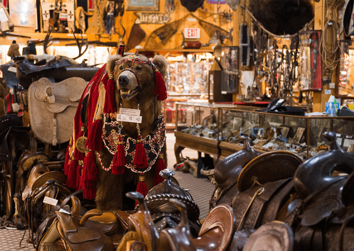 become a travel agent in wyoming