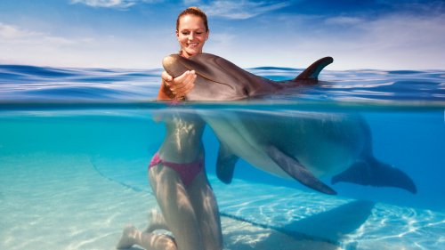 Dolphinaris Cozumel